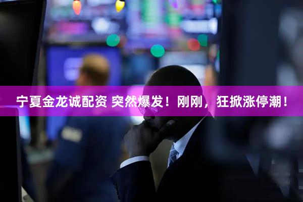 宁夏金龙诚配资 突然爆发！刚刚，狂掀涨停潮！