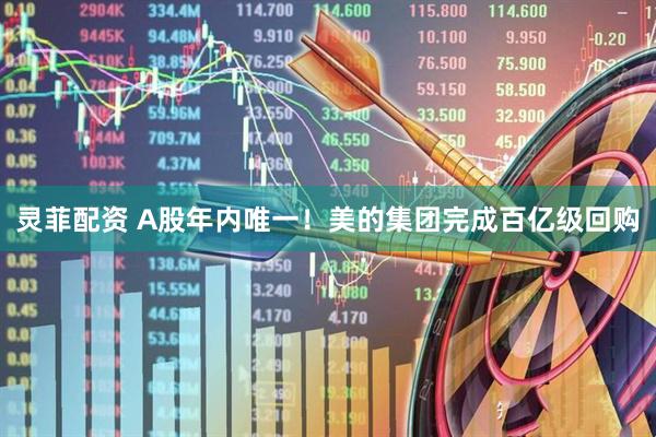 灵菲配资 A股年内唯一！美的集团完成百亿级回购