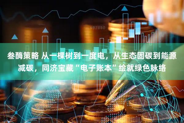 叁酶策略 从一棵树到一度电，从生态固碳到能源减碳，同济宝藏“电子账本”绘就绿色脉络